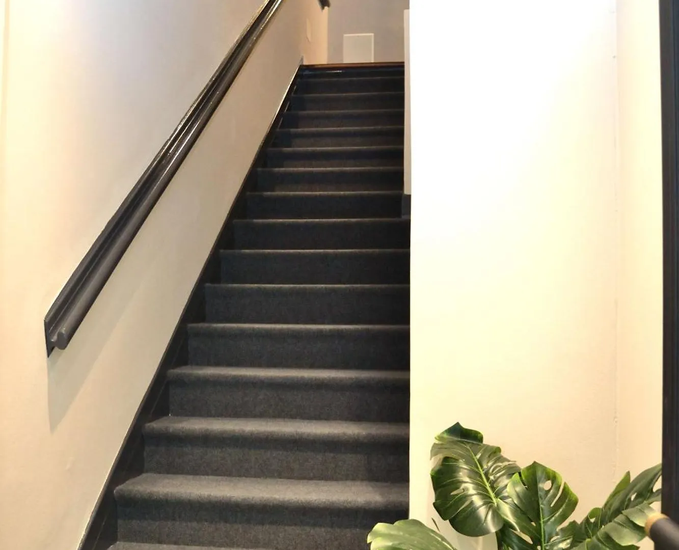 Ca' Dei Buranelli - Centro Citta' Apartment Treviso